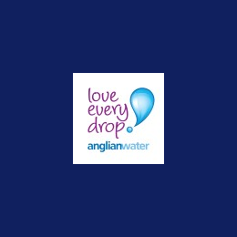 Senior ECC Project Manager