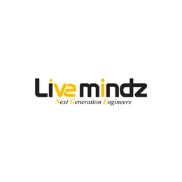 Adobe Workfront Developer / Consultant