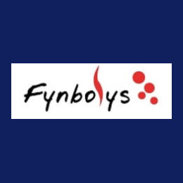 Technical Project Manager