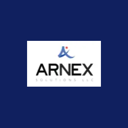 Software Developer & QA Analyst (Power Platform / .NET / React)