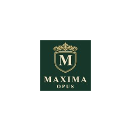 Power Platform Developer