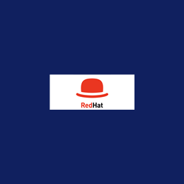 Senior Analyst / FP&A Manager
