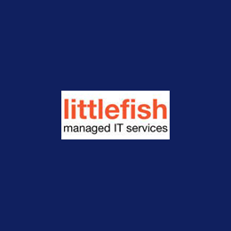 Customer Success Manager Cyber